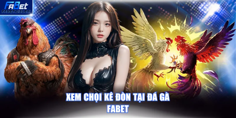 Xem chọi kê đòn tại Đá Gà FABET